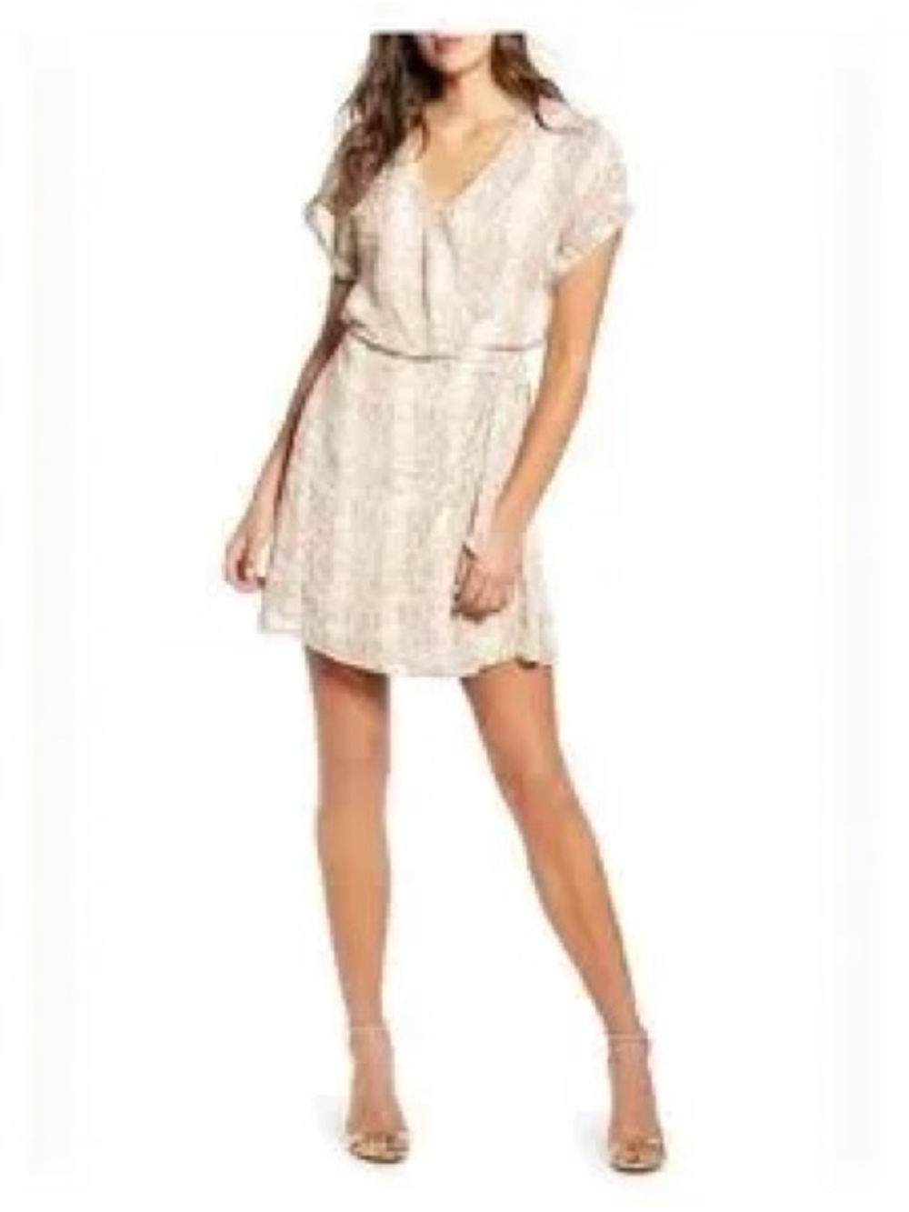 All in Favor nuetral snake print wrap front mini dress